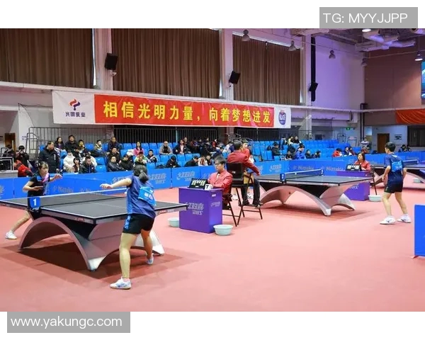 南京乒乓球队的意识提升与团队协作探讨聚焦乒乓球运动发展新方向