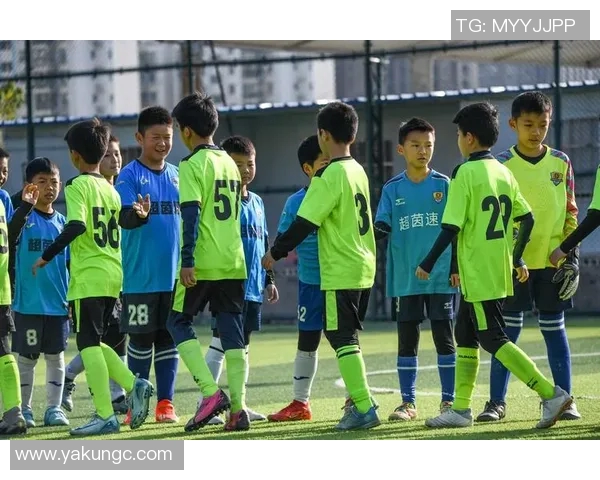 武汉足球队的个人能力揭秘：从技术到战术的全面分析与探索