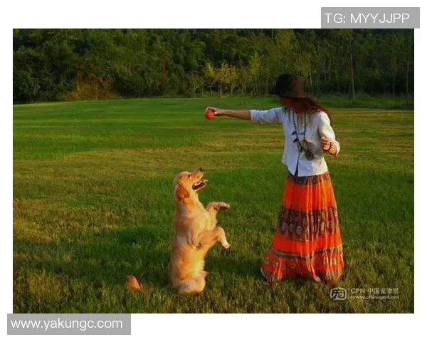 足球明星与爱犬的欢乐时光精彩瞬间集锦视频分享