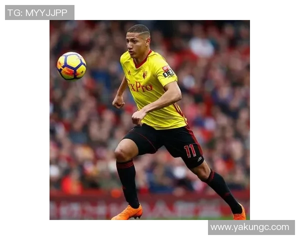 足球明星安德拉德的传奇之路与辉煌成就揭秘