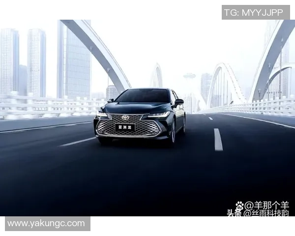 杭州羽毛球队在洲际杯积分榜中以82分稳居榜首展现强劲实力