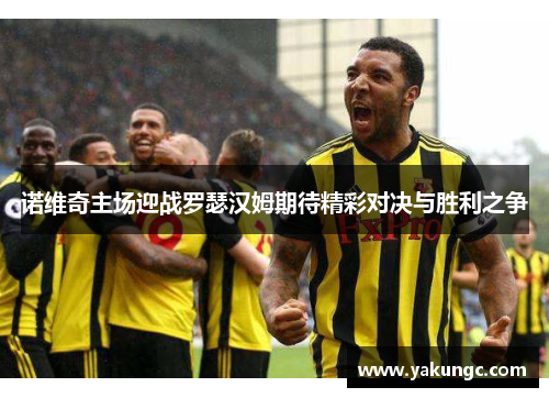 诺维奇主场迎战罗瑟汉姆期待精彩对决与胜利之争