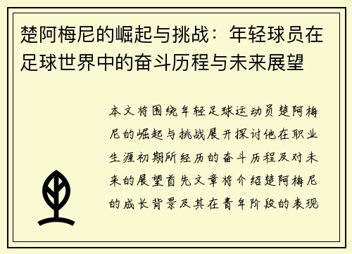 楚阿梅尼的崛起与挑战：年轻球员在足球世界中的奋斗历程与未来展望